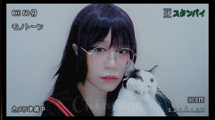 With my Cat