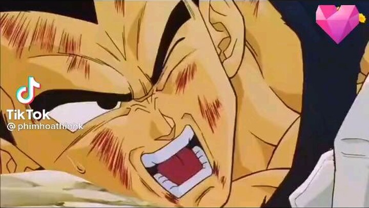 7 vien ngọc trồng