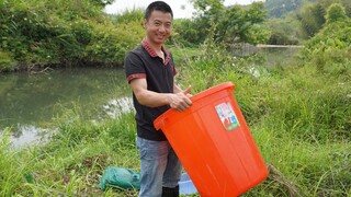 Huanong Brothers: Put up a fish cage and catch some fish to raise. It just so happens that I have a 