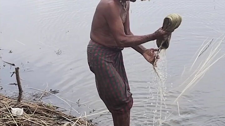 পাট থেকে তার ছালটি উঠিয়ে নেয়া হচ্ছে পরে শুকিয়ে সুতোর কাজে ব্যবহার করা হবে।