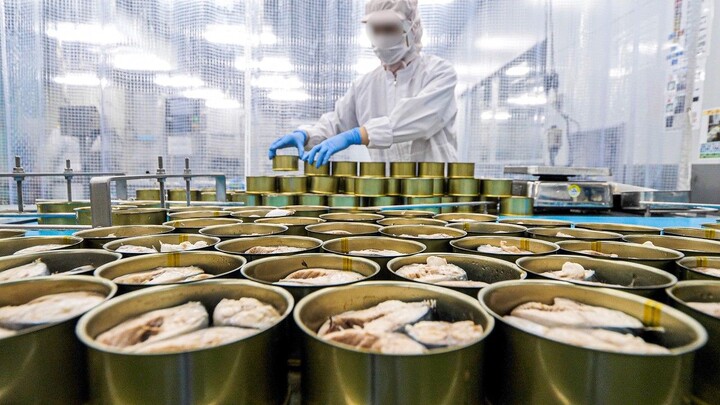 [Rekaman Langsung Lini Produksi Kaleng Cokelat Ikan Makarel: 80 Tahun Berinovasi dalam Wirausaha]