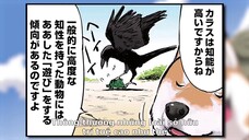 Ngày Tận Thế Với Chú Chó Shiba Của Tôi EP 6 [Sub Việt]