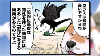 Ngày Tận Thế Với Chú Chó Shiba Của Tôi EP 6 [Sub Việt]