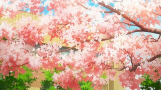 [Anime MAD.AMV]Your Lie in April: Keunikan di Musim Semi