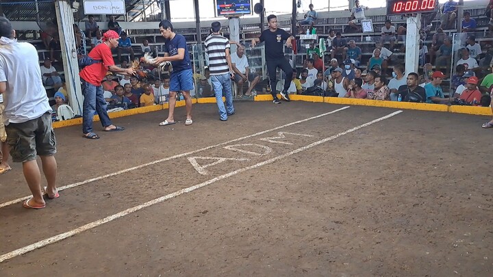 half fight