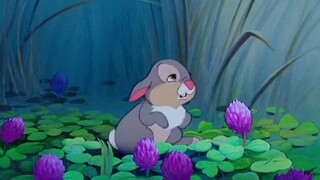 桑普～