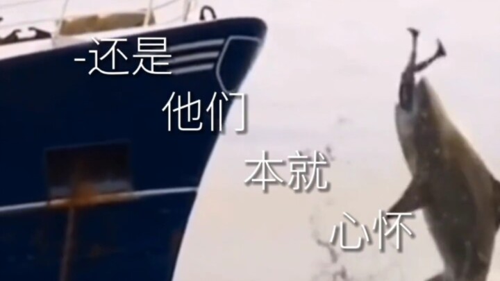 Hiu: Percayalah, memang ada rezeki datang begitu saja!