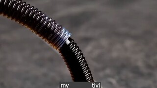 cứ thoải mái sáng tạo đi p2 #mytivi