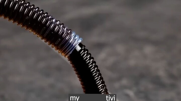 cứ thoải mái sáng tạo đi p2 #mytivi