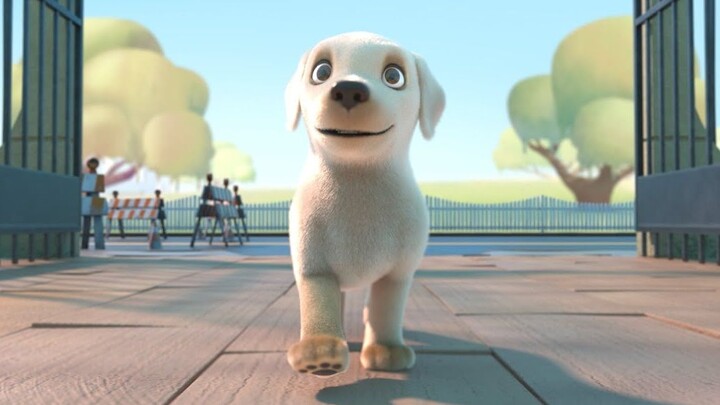 Touching! A heartwarming story that brings comfort to the vulnerable around the world!