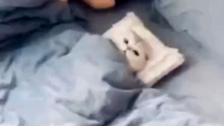 ساعدني في إطفاء الضوء، شكرًا.