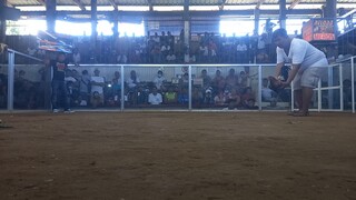 5yrs old grey #unscratch