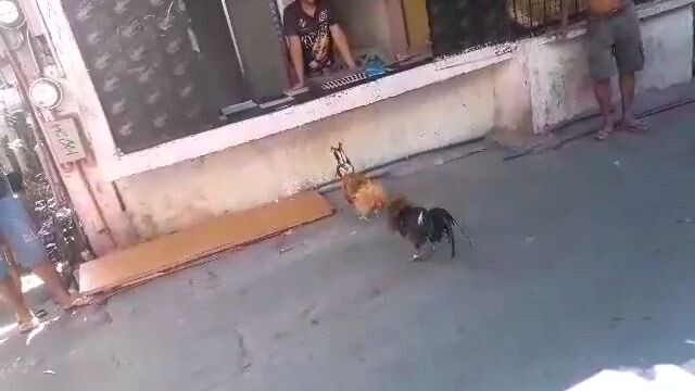 1st win ni bulik di maganda pinakita pero panalo..