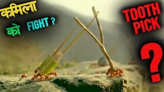 MINISCULE VALLEY OF ANTS final video