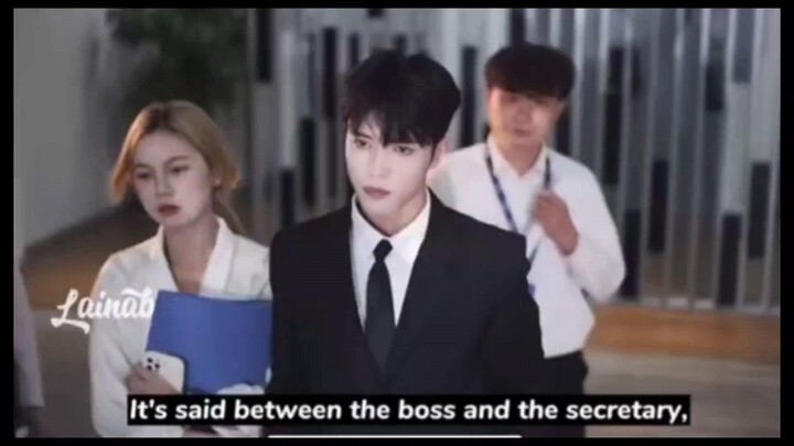 CEO AND LAME SECRETARY