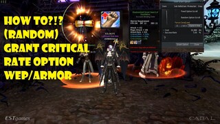 Cabal Online How To Grant Critical Rate Option for Weapon/Armor