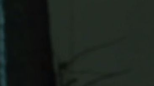MafiaBoss E8