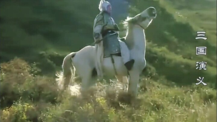 “Zhao Yun: You just took a whole round of damage for nothing.”