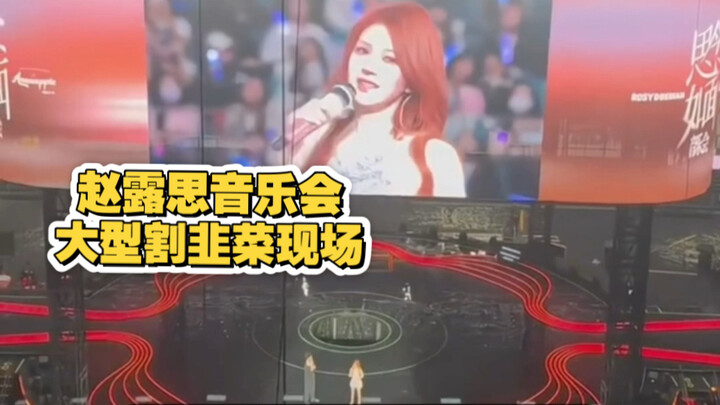 Buổi concert của Triệu Lộ Tư tưởng chừng hát live toàn bộ để chứng minh thực lực, kỳ thực lại là chi