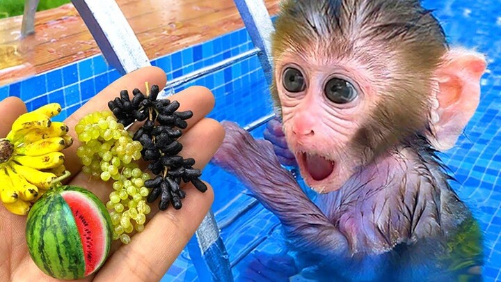 Monkey Baby Bon Bon เล่นในสระกับลูกสุนัขและลูกเป็ดและกินผลไม้ในสวน