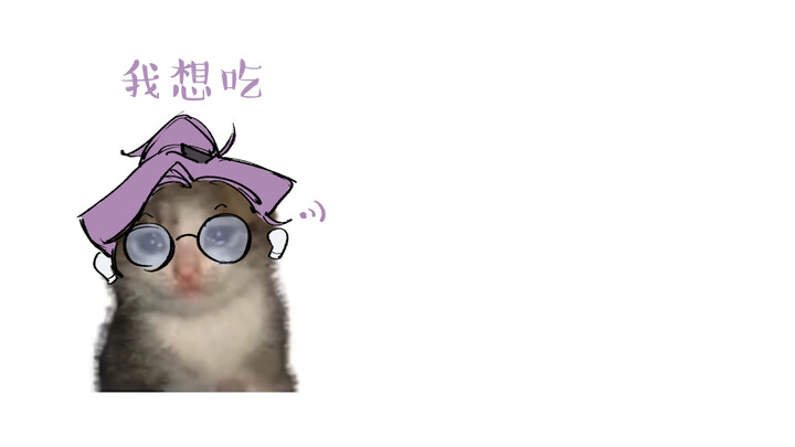 قط الكرواسان، لكن MBTI!