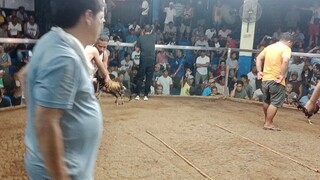 two hits ulutan champion