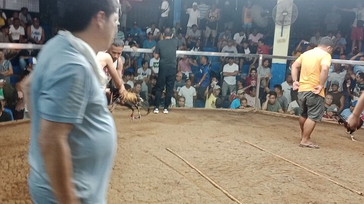 two hits ulutan champion