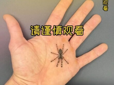 Jika kamu bukan seorang pencinta serangga, silakan keluar