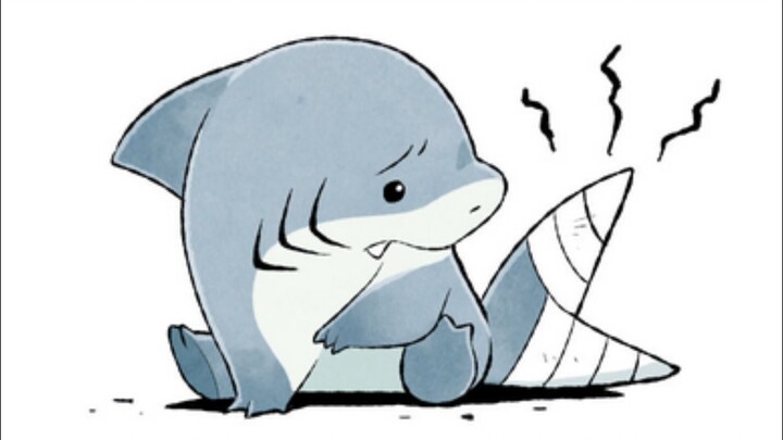 Jeff is here! 13 Eli Shark White