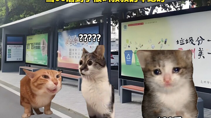 当00后到了被叫叔叔阿姨的年纪时合集
