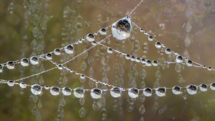 “Hóa ra thiên nhiên mới là nhà thiết kế tài ba nhất”