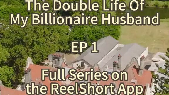 The Double Life of My Billionaire Husband ❤️   Part 1                 #cttovideo