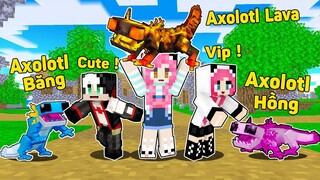 MỀU THỬ THÁCH 24 GIỜ NHẬN NUÔI AXOLOTL LAVA TRONG MINECRAFT*REDHOOD BẮT ĐƯỢC KỲ NHÔNG BIỂN KHỔNG LỒ