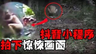 [10 Weird Images] Don't play apps that can find corpses. Weird images captured by popular foreign ad