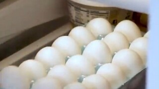 Why do eggs have to be refrigerated in the United States?