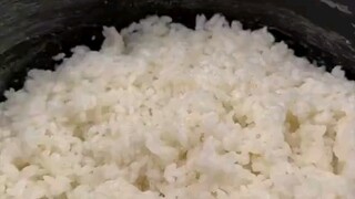 البط لطيف جدًا، لماذا نأكله؟