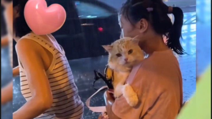 “Cat: I told you—no two days are ever the same, no matter who you’re with!”