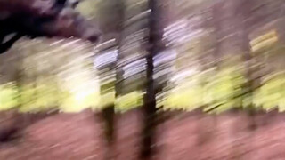 【人闲个一】视频已打包，欢迎围观！