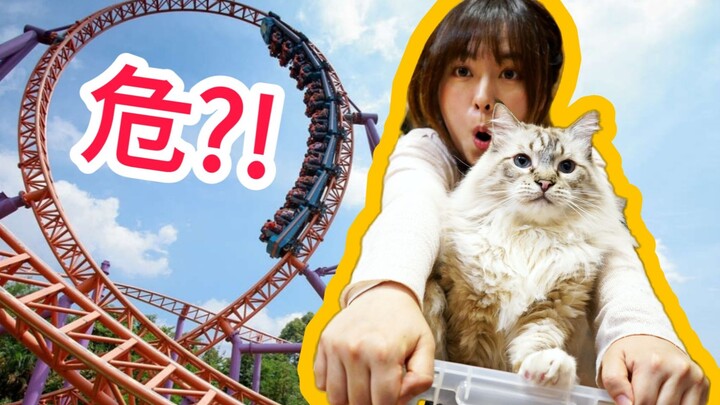 猫 咪 4D 过 山 车 | 2:07 笑 到 头 掉