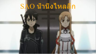 MV SAO น้ำนิ่งไหลลึกSillyFools