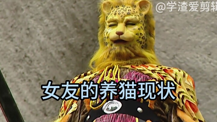 สถานการณ์การเลี้ยงแมวของแฟนสาว