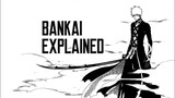 Bleach Bankai Explained In Hindi By (Ak)