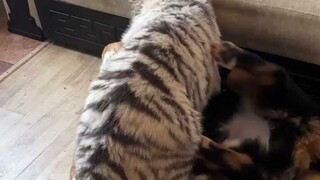 Hug~