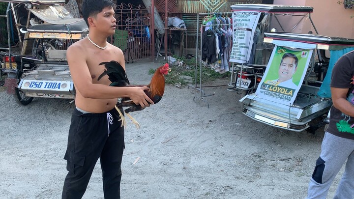5months of Anak ni puti kontra bull stag🫶