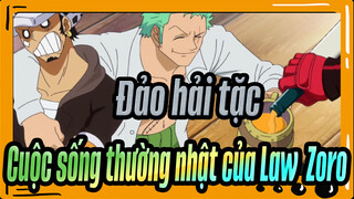 [Đảo hải tặc] Cuộc sống thường nhật của Law & Zoro / CP +1 kì lạ