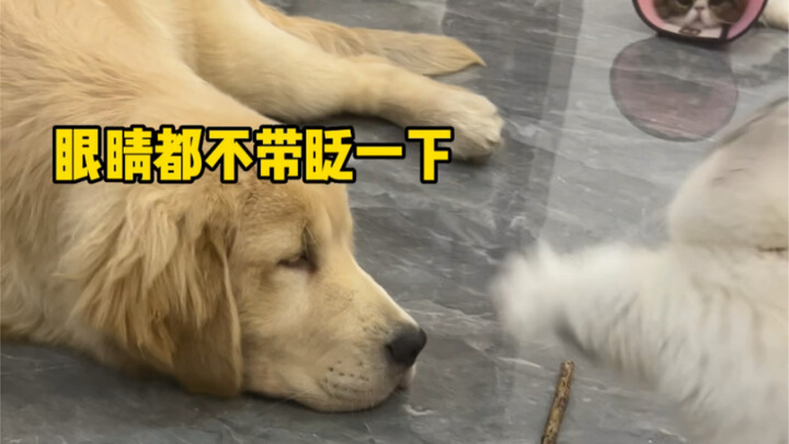 พวกคุณช่างน่ารักจริงๆ