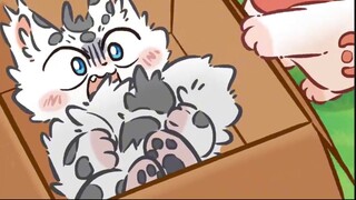 Kenari Meji dan Fuzi