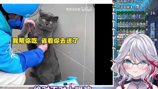 日本天然小姐姐看《动物偷吃被抓名场面》