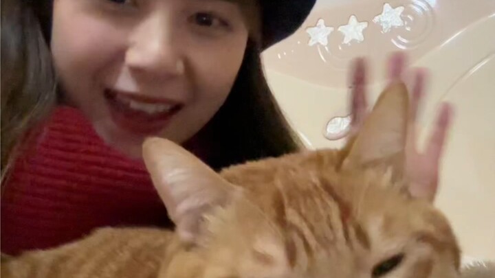 Selamat Tahun Baru semuanya!!