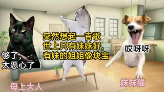 【Meme Kucing】Masa kecil sang adik dihabiskan dengan ribuan tipu daya sang kakak